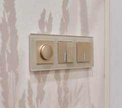 Выключатель одноклавишный проходной с подсветкой (шампань рифленый) (W1112110)