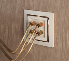 Акустическая розетка (слоновая кость) (W1185003)