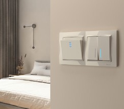 Электронный карточный выключатель (слоновая кость) (WL03-01-03)