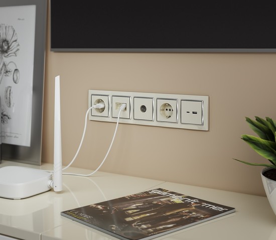 Розетка двойная Ethernet RJ-45 (слоновая кость) (W1181103)