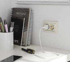 Розетка двойная с заземлением (слоновая кость) (W1172003)