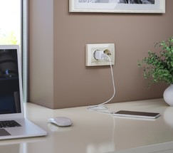 Розетка двойная с заземлением (слоновая кость) (W1172003)