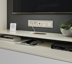 Розетка Ethernet RJ-45 (слоновая кость) (W1181003)