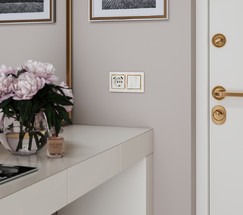 Розетка с заземлением, шторками и USBх2 (слоновая кость) (W1171503)