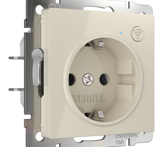 Розетка Wi-Fi (слоновая кость) (W1171603)