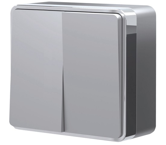 Выключатель двухклавишный Gallant (серебряный) (W5020006)