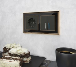 Рамка на 2 поста (золото/черный) (WL17-Frame-02)