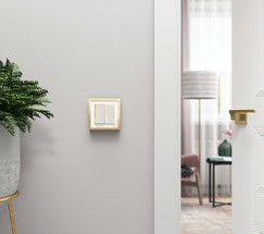 W0012851/ Рамка на 1 пост Baguette (айвори/латунь)