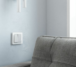 W1120061/ Выключатель двухклавишный (белый матовый)