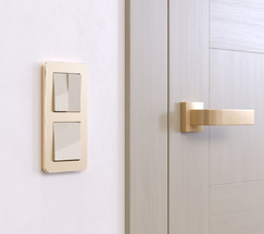 W0022611/ Рамка на 2 поста Platinum (шампань)