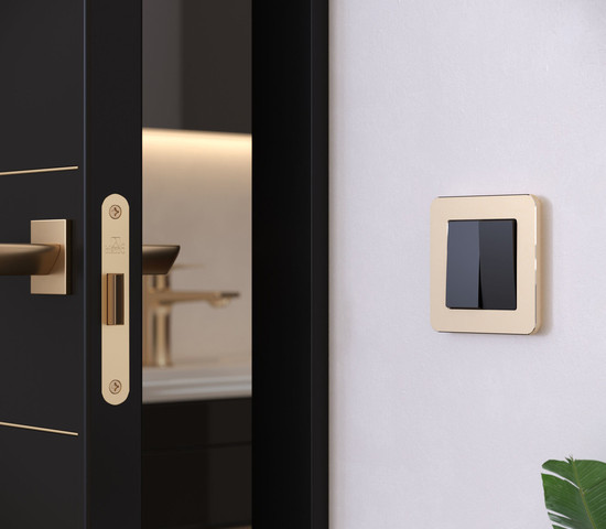 W0012611/ Рамка на 1 пост Platinum (шампань)