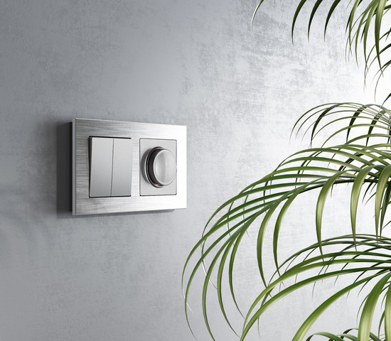 W1123008/ Перекрестный выключатель двухклавишный (серебряный)