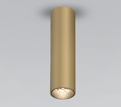 Pika 6W (25031/LED) золото