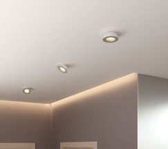 Pruno белый/серебро 8W 4200К (25080/LED)