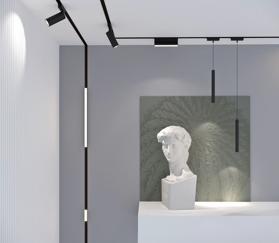 Flat Magnetic Трековый светильник 12W 4000K Insight (чёрный) 85091/01