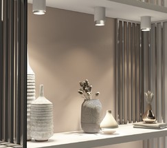 Cors 10W (25032/LED) белый/серебро