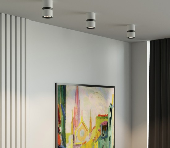 25049/LED 12W 4000К белый/чёрный