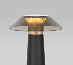 Future чёрный (TL70200)