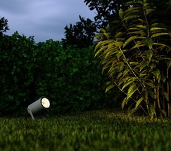 Landscape графит (35146/S)