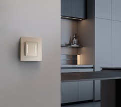 W0013111/ Рамка на 1 пост Senso (шампань, стекло soft-touch)