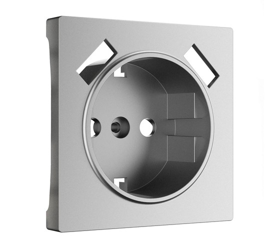 W1179565/ Накладка для розетки USB  (серебряный матовый)