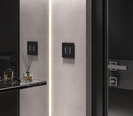 W4522008/ Сенсорный выключатель двухклавишный с подсветкой (черный)