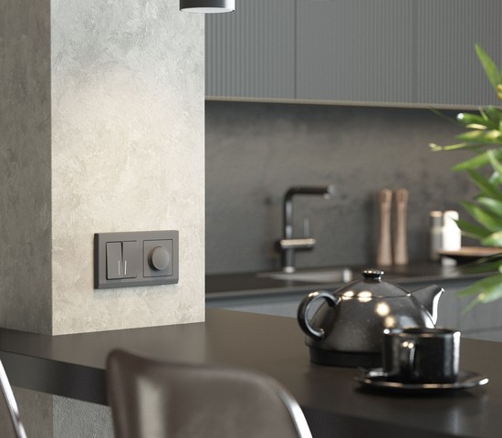 W1120164/ Выключатель двухклавишный с подсветкой (графит матовый)