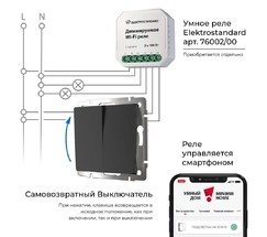 W1122408/ Выключатель двухклавишный с самовозвратом (черный матовый)