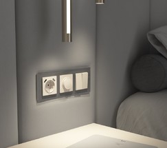 W1142062/ Диммер (айвори матовый)