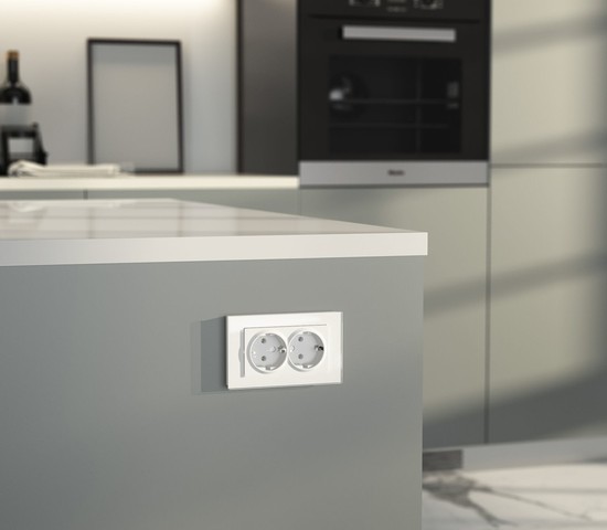 W1172061/ Розетка двойная с заземлением (белый матовый)