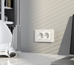 W1172061/ Розетка двойная с заземлением (белый матовый)