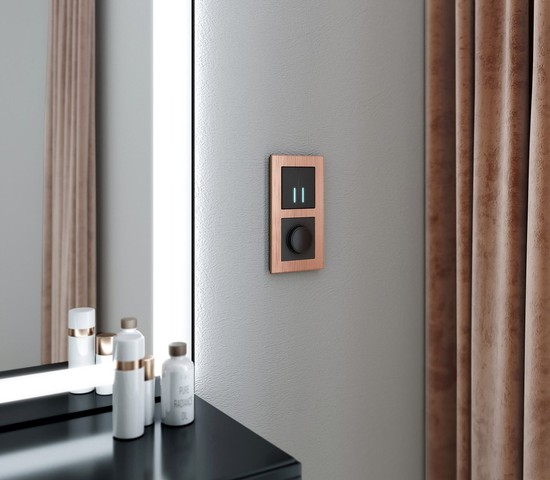 W0021712/ Рамка на 2 поста Aluminium (бронза)