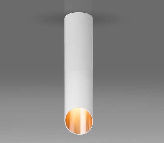 Точечный светильник DLN115 GU10 белый/золото