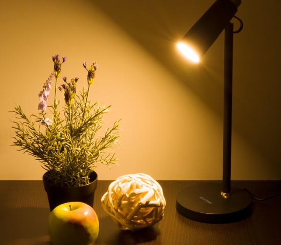 Настольная лампа Joel черный/золото (TL70190)