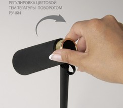 Настольная лампа Joel черный/золото (TL70190)